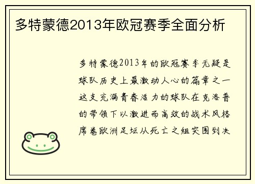 多特蒙德2013年欧冠赛季全面分析